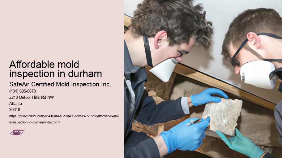 Affordable mold inspection in durham