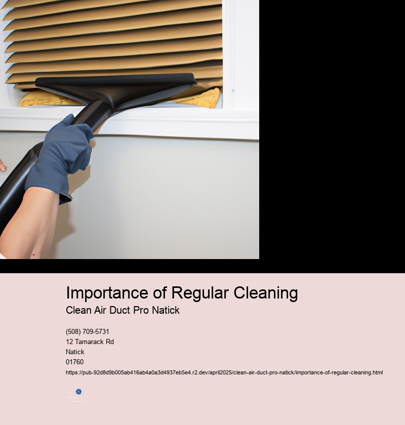 Importance of Regular Cleaning