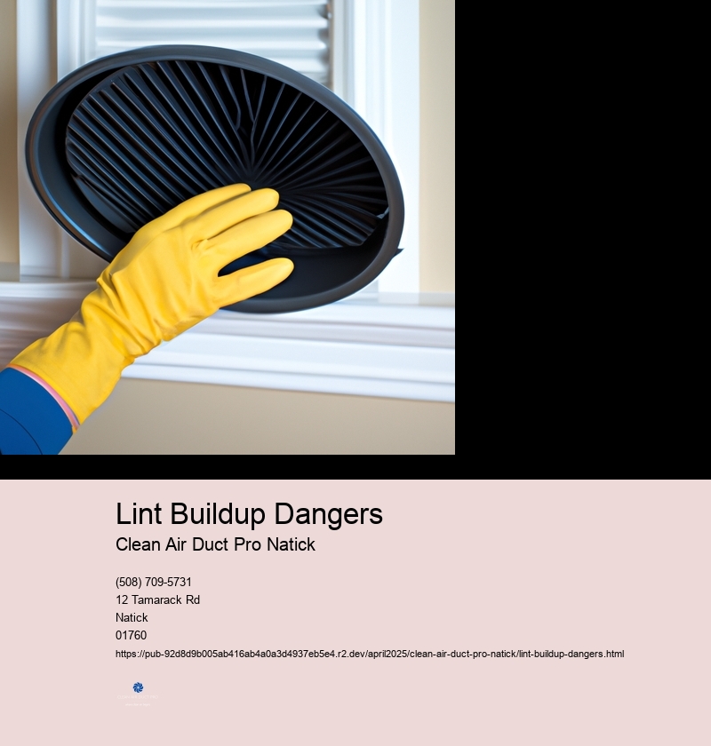 Lint Buildup Dangers
