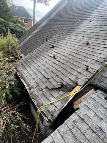 Negotiating and Finalizing Your Tree Service Insurance Policy