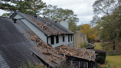 Managing Auto Insurance Costs for a Tree Service Fleet.