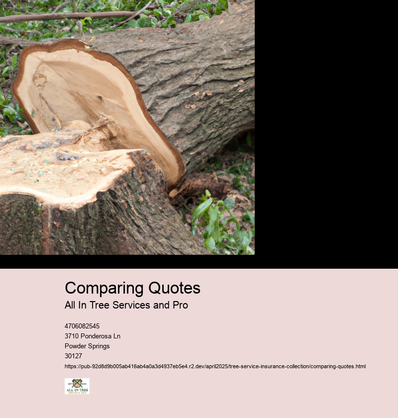 Comparing Quotes