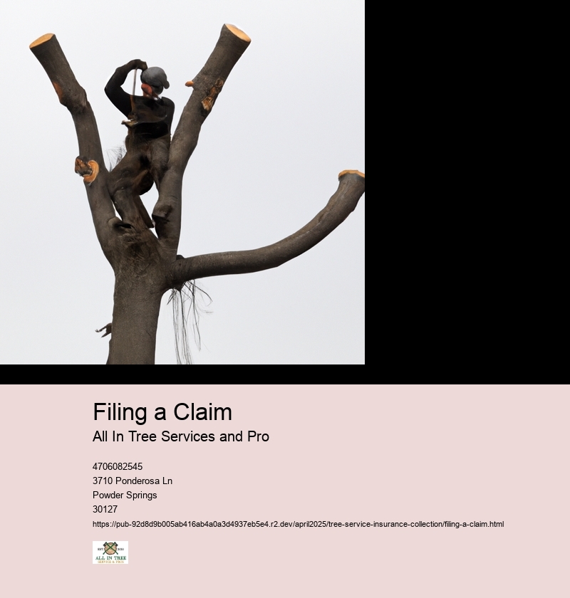 Filing a Claim