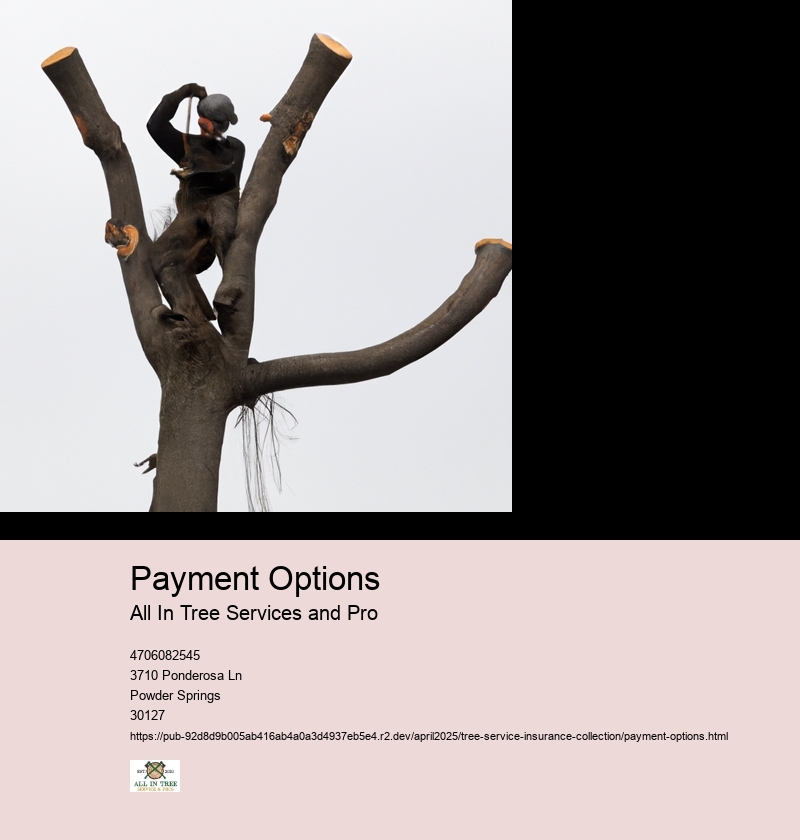 Payment Options