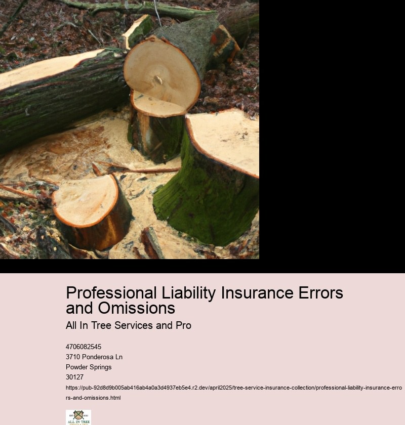 Professional Liability Insurance Errors and Omissions