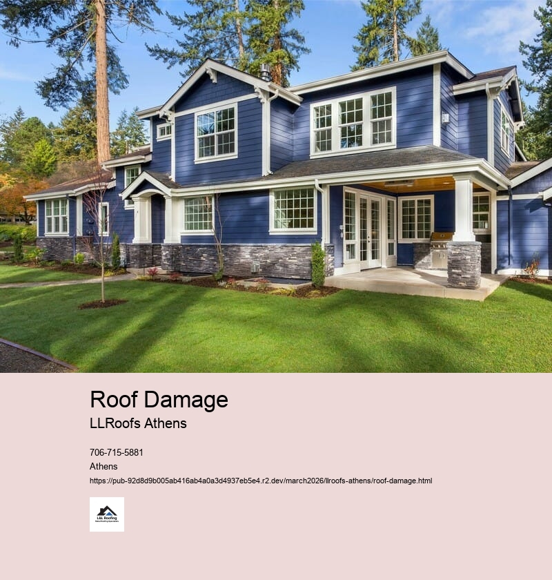 Common Types of Roof Damage